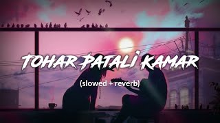 Tohar Patali Kamar slowedreverb [upl. by Enrak]