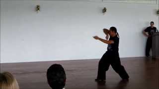 Seven Star Mantis Plum Flower Fist 梅花拳 Mui Fah Kuen [upl. by Winston732]