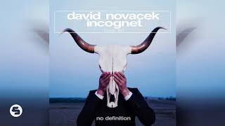 David Novacek amp Incognet  Loser Hit [upl. by Manaker959]