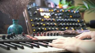 A Very Warm Day  Novation Peak Improvisation [upl. by Lynad]