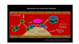 Anticoagulantes y Trombolíticos mecanismo de acción [upl. by Yojenitsirk]