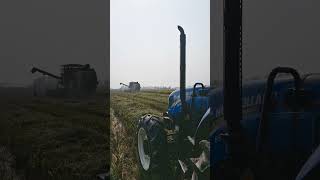 New holland 6510 44 newhollond youtubeshorts [upl. by Letsirk]