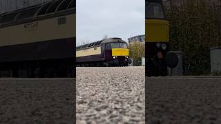 Here is West Coast Railways 57601 and 57313 passing by on the Northern Belle railtour [upl. by Aekin67]