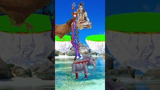 Shiv panchaskar stotra 🕉️🔱shiv shankar shorts [upl. by Euqinna]