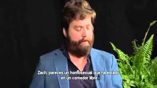 Between Two Ferns with Zach Galifianakis Steve Carell Sub Español [upl. by Sairtemed804]