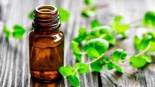 6 Amazing Health Benefits Of Peppermint Oil [upl. by Imotas]