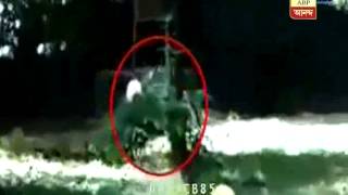 Shocking video White tiger kills youth at Delhi zoo [upl. by Packston]