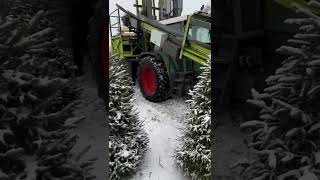 Christmas trees packing in Lithuania [upl. by Nyret]