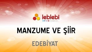 EDEBİYAT  MANZUME VE ŞİİR [upl. by Dianne81]