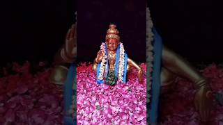 Harivarasanam ayyappa swamy saranam [upl. by Etnaid]