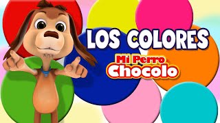 MI PERRO CHOCOLO APRENDE  LOS COLORES EN ESPAÑOL E INGLÉS [upl. by Caylor]