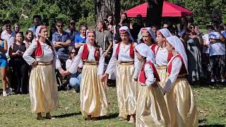 💚Kozaracki Piknik Folklor Chicago 2024 amp 4K by Bosanski Adetilivedancemusicfunnyvlogfood [upl. by Aicul248]