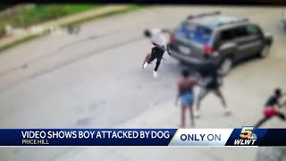 Dog attacks child man who intervened in Price Hill [upl. by Akiehsal]