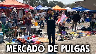 EL GRAN TIANGUIS DE CHAMILPA EN CUERNAVACA MORELOS FLEA MARKET [upl. by Eceinahs]