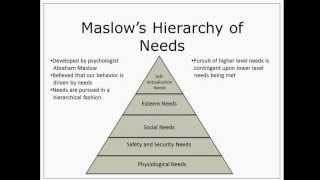 Unleashing Your Full Potential Understanding Maslows Hierarchy of Needs [upl. by Renrew]