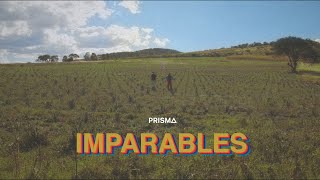 PRISMA  Imparables Videoclip Oficial [upl. by Dhaf]