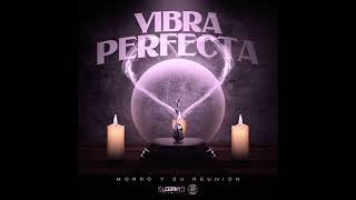 🔮Vibra Perfecta🔮 MORRO Y SU REUNION 2023 [upl. by Glaser]