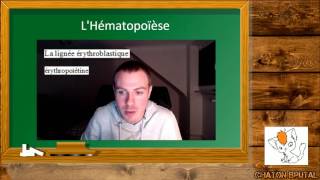 MORPHOLOGIE EN HEMATOLOGIE EPISODE 4 [upl. by Sesiom962]