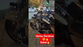 Harley Davidson bike 🔥 like dubai automobile harleydavidson suoercars viralvideo [upl. by Dugaid]