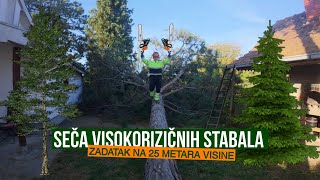 Seča Visokorizičnih Stabala Zadatak na 25 Metara Visine [upl. by Wiseman114]