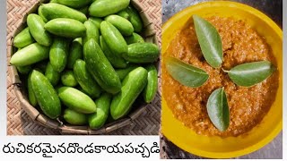 దొండకాయ పచ్చడి vanitasty ina Dondakaya pachadi😋😋😋 subscribe amp support [upl. by Olleina392]