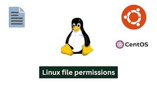 Linux file permissions verysimple ubuntu centos [upl. by Asaret418]