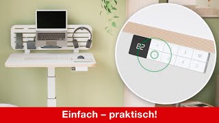 Leitz Ergo Electric SitStanding Desk Schreibtisch [upl. by Hans]