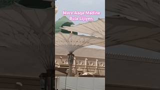 Madine Ki Hajri mereaaqamadineabbulalijiye madinasharif jiyarat umrah2024 [upl. by Eimaraj]