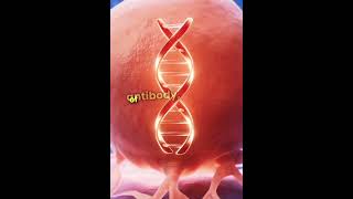 Monoclonal antibodies👍👍 [upl. by Gauthier679]