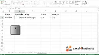 How to Enter Values Starting with Zero in Excel 2013 [upl. by Erdried507]