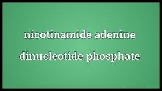 Nicotinamide adenine dinucleotide phosphate Meaning [upl. by Asik]