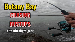 Botany Bay Chasing bustups with Ultralight gear [upl. by Alverson820]