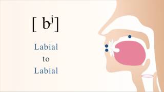 bʲ  voiced unaspirated palatalized bilabial stop [upl. by Ardnuaed]