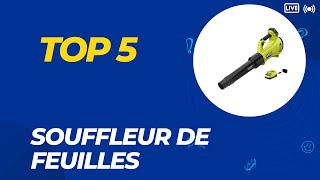 Top 5 Meilleure Souffleur de Feuilles 2024 [upl. by Sorilda]