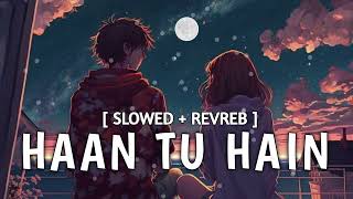 Haan Tu Hain SlowedReverb  KK Pritam  Jannat  Best Romentic Song [upl. by Kurzawa83]