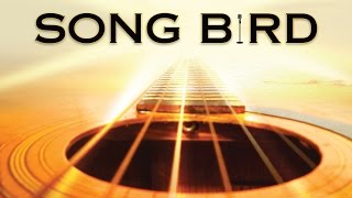 Song Bird OFFICIAL SITE [upl. by Ytte]