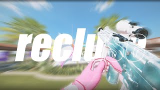 recluse R6 Montage [upl. by Shanon]