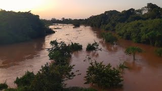 Grande enchente histórica chegando no Rio Itapicuru no município de Itapicuru e Olindina [upl. by Napra]