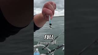 ⭕戶外釣魚：釣魚佬將魷魚墨汁塗抹在手上，結果把自己害慘了！ 海釣 戶外 魷魚 [upl. by Ynnij]