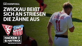 SG Dresden Striesen vs FSV Zwickau  Highlights 2 Runde Sachsenpokal [upl. by Teresita]