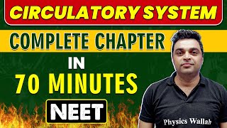 CIRCULATORY SYSTEM in 70 minutes  Complete Chapter for NEET [upl. by Rimidalb653]