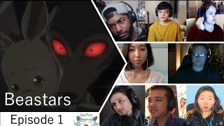 Beastars Episode 1 Reaction Mashup [upl. by Ayatahs228]