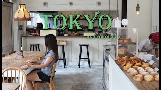 4K Vlog trip Tokyo and Yokohama [upl. by Zerline]