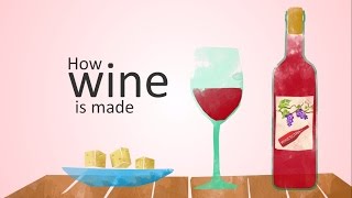 how wine is made animation [upl. by Yhtomot407]