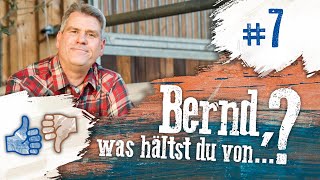 Bernd was hältst du von 7 Freiarbeit Fütterung und Osteopathen [upl. by Ambrogino]