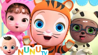 Learn Animal Names  Animal For Kids  Nursery Rhymes amp Kids Songs  NuNu Tv [upl. by Appilihp606]