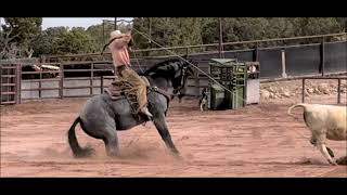 TEAM ROPING HORSE  Drifter video  SOLD [upl. by Ahsinat]