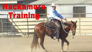 How to Tie Reins onto the Bosal or Hackamore  Quick Easy Functional  Horse Training [upl. by Geno]