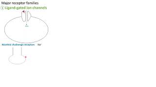 Ligandgated ion channel receptors  in Arabic  بالعربي [upl. by Waverley967]