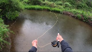 Rainy day fly fishing Episode one ￼of learning to fly fish [upl. by Naihr269]